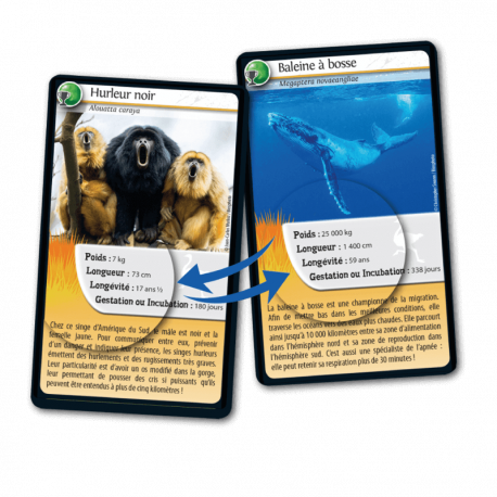 Défis nature Records des animaux