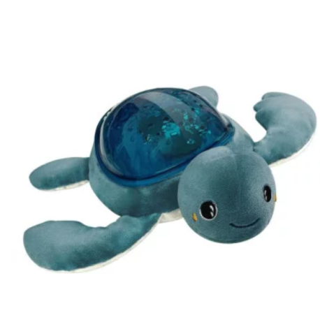 Tortue Aquadream effets aquatiques