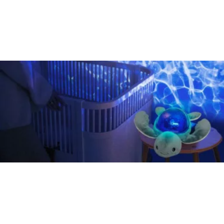 Tortue Aquadream effets aquatiques