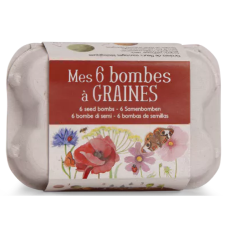 Mes 6 bombes à graines