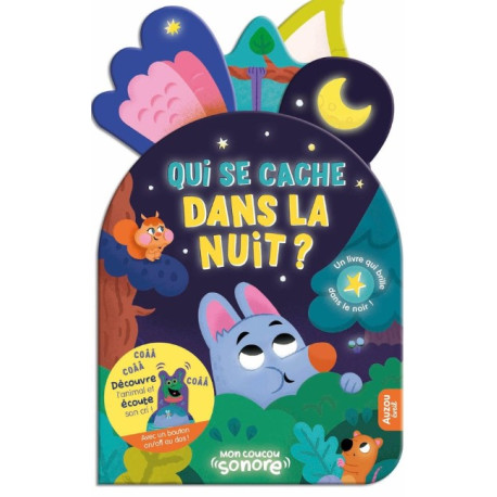 Qui se cache dans la nuit?