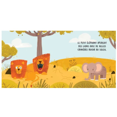 Douces histoires sonores La savane