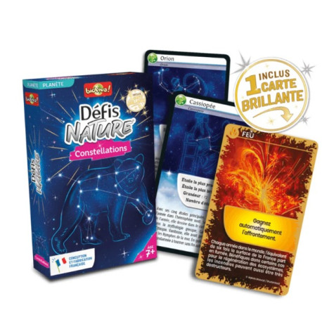 Défis nature Constellations