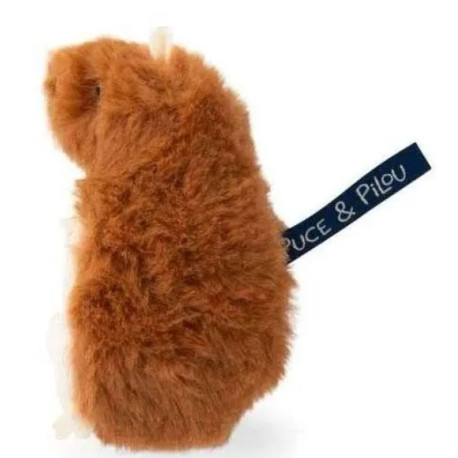 Puce et Pilou Hamster dent de lait