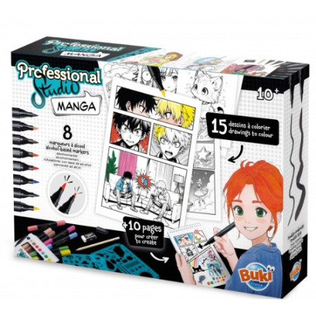 Professional studio Manga