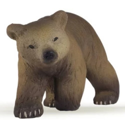 Ourson des Pyrénées