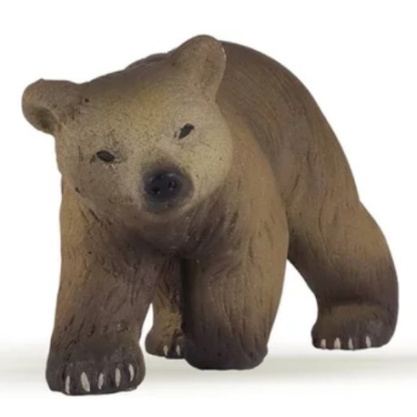 Ourson des Pyrénées