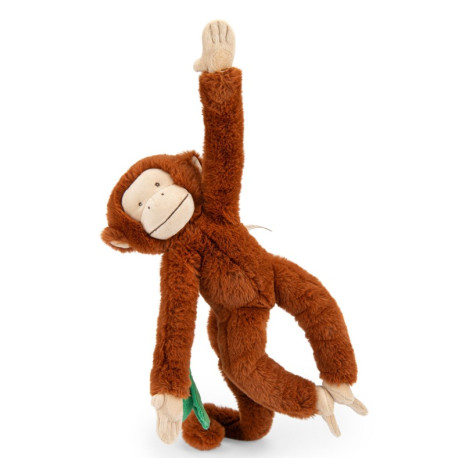 Singe Mochica d'activités à suspendre La forêt Mawa