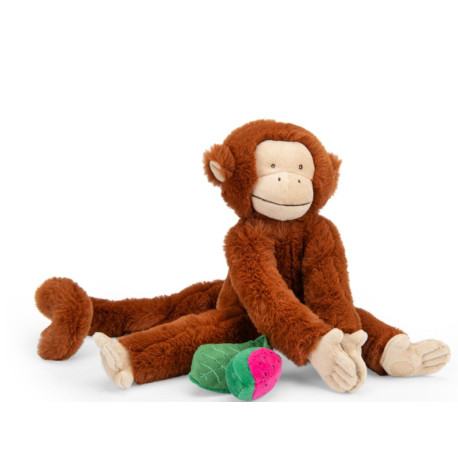 Singe Mochica d'activités à suspendre La forêt Mawa