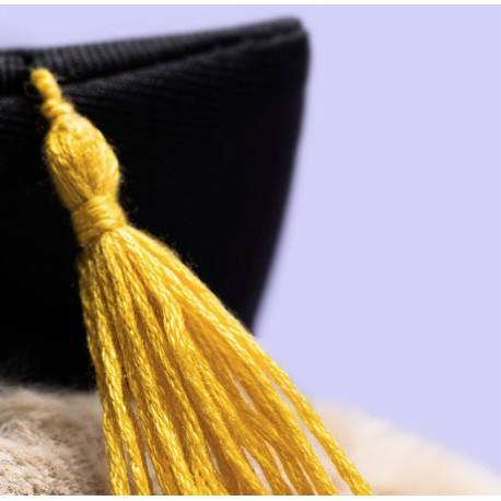 Bunny graduation outfit bashful