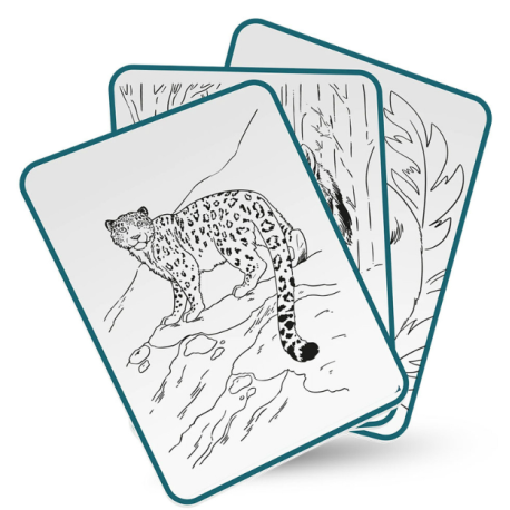 Kidydraw Animaux