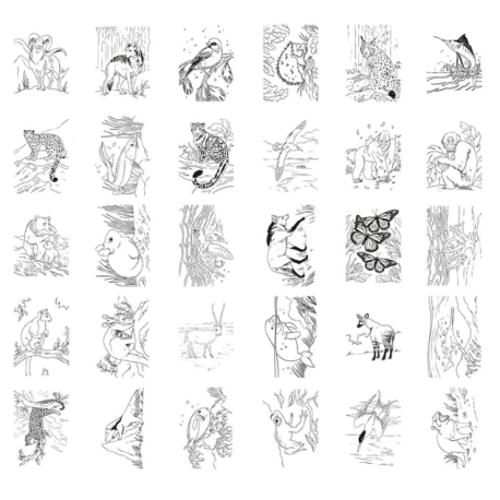 Kidydraw Animaux