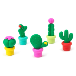 Set de 5 gommes parfumées Cactus