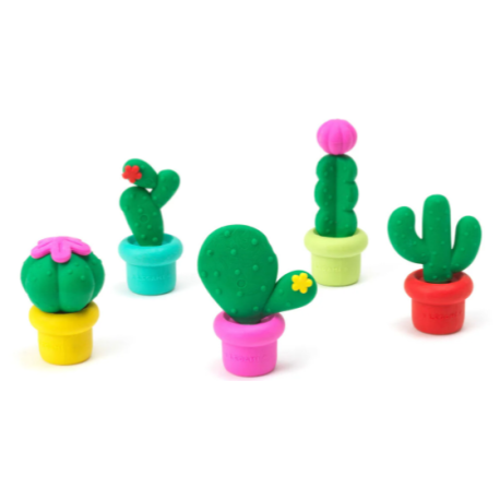 Set de 5 gommes parfumées Cactus