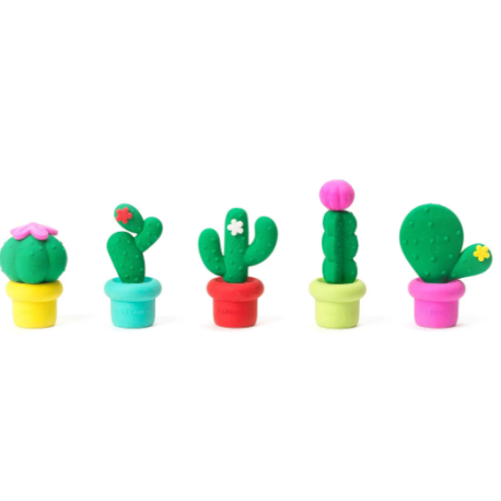 Set de 5 gommes parfumées Cactus