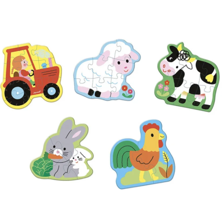 5 ¨Puzzles Evolutifs Ferme 