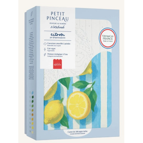 Notebook à peindre Citron