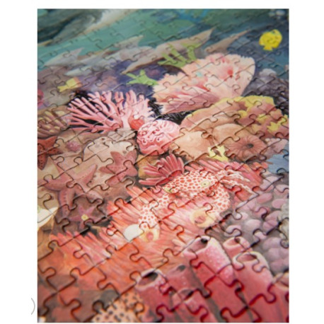 Puzzle Le récif corallien 