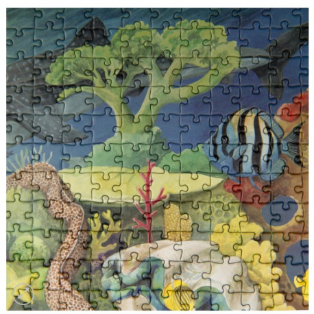 Puzzle Le récif corallien 