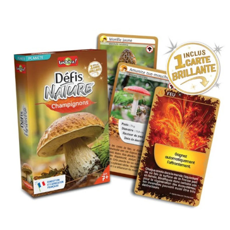 Défis Champignons